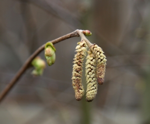 Add Some Life To Your Writing