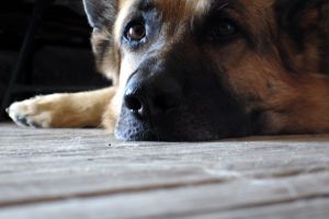 How To Bore A Reader So That They’ll Never Come Back