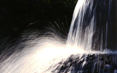 Developing Creative Blog Ideas for Your Business