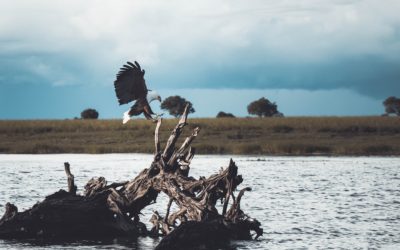 What is a Landing Page?